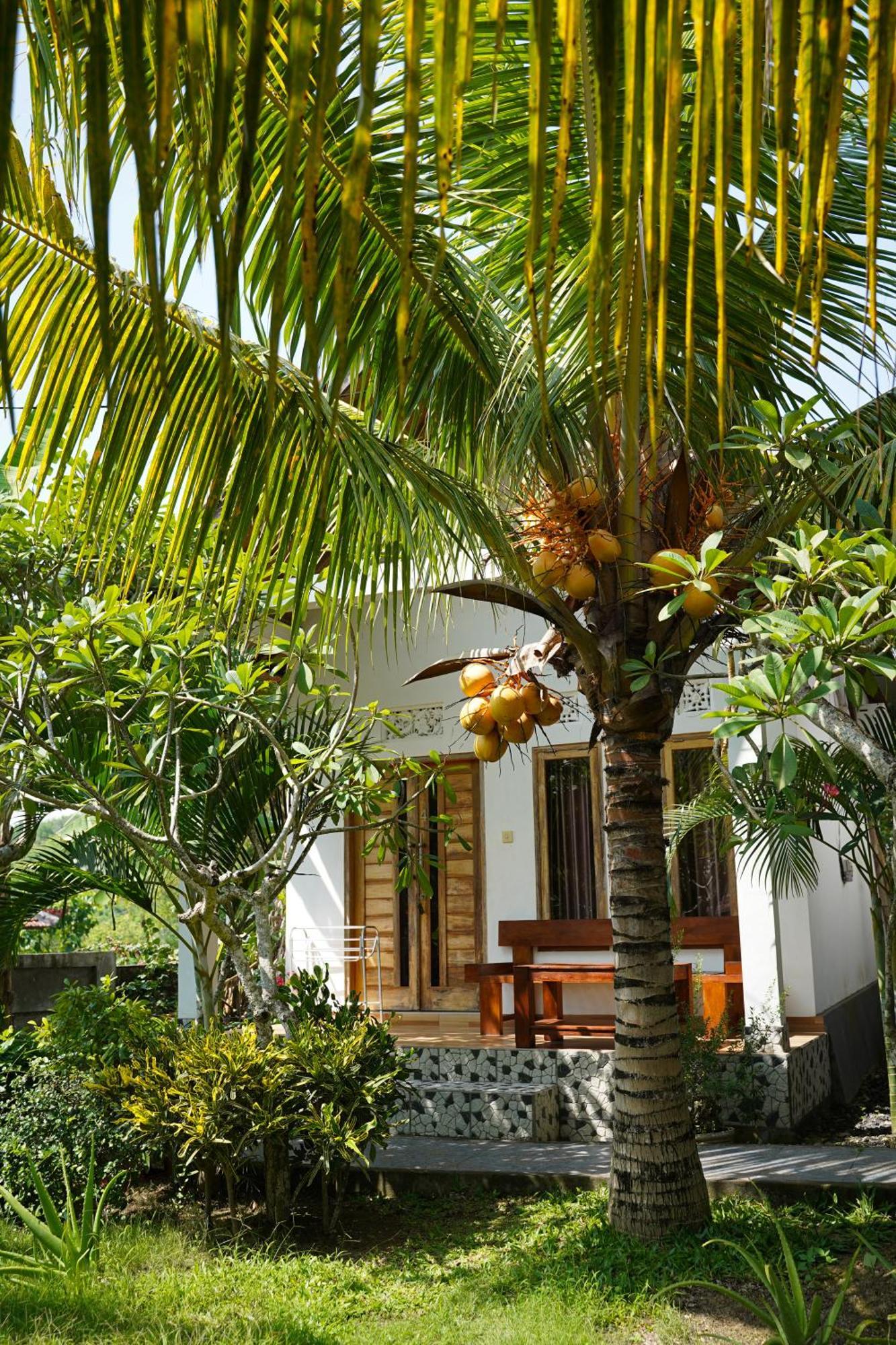 Wahyu Masari Homestay Sakti Exterior photo